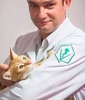 Especial-pet-Equipe-11