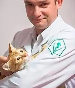 Especial-pet-Equipe-11