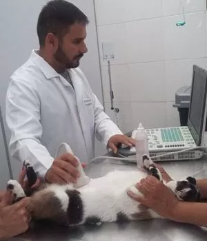 clinica-veterinaria-em-carapicuiba_equipe-marcelo-de-oliveira.jpeg